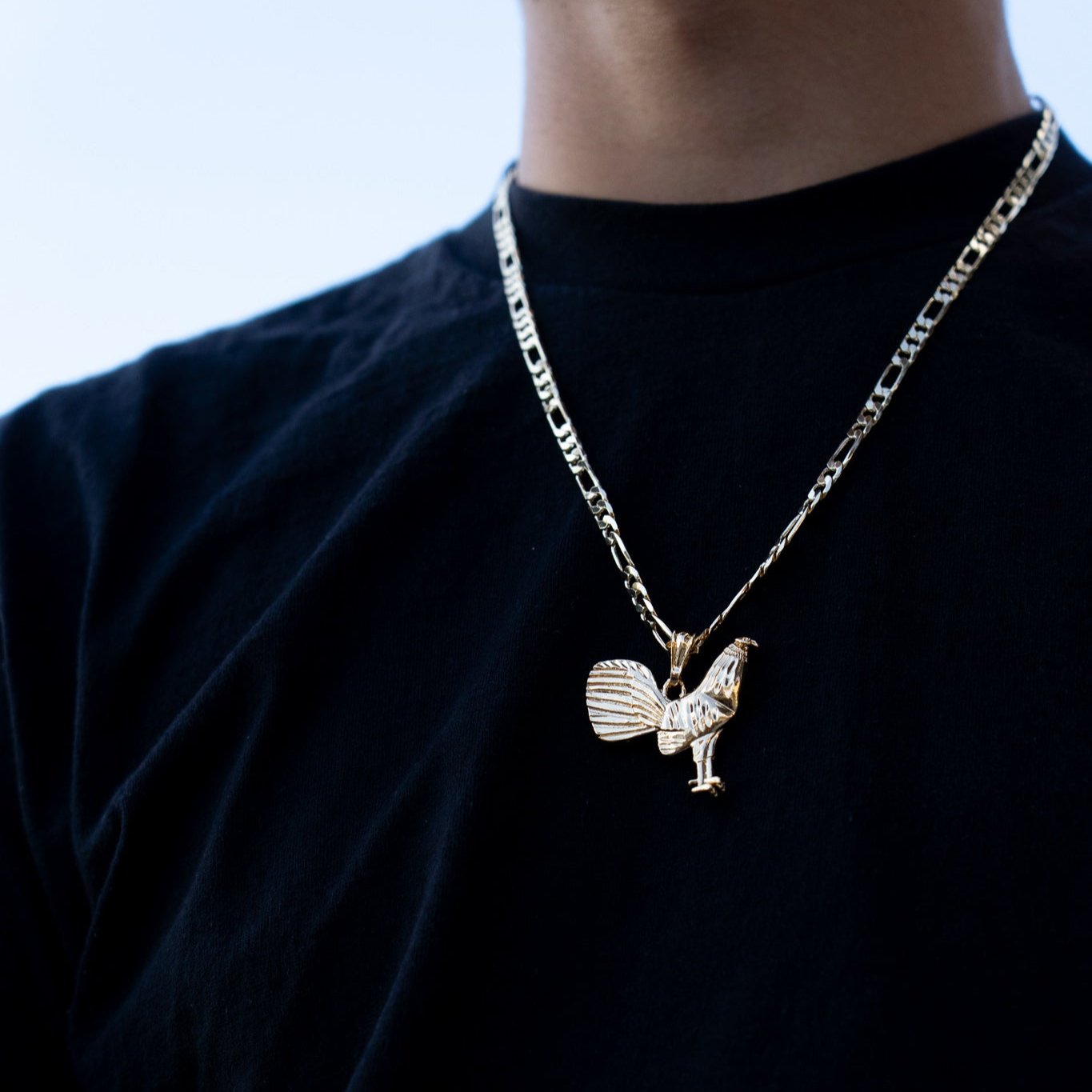PE8 Gallo Pendant